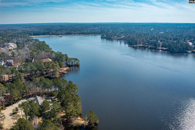 aerial view with a water view and a wooded view