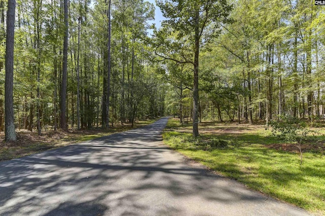 view of street with a view of trees