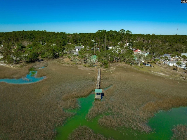 bird's eye view featuring a forest view and a water view