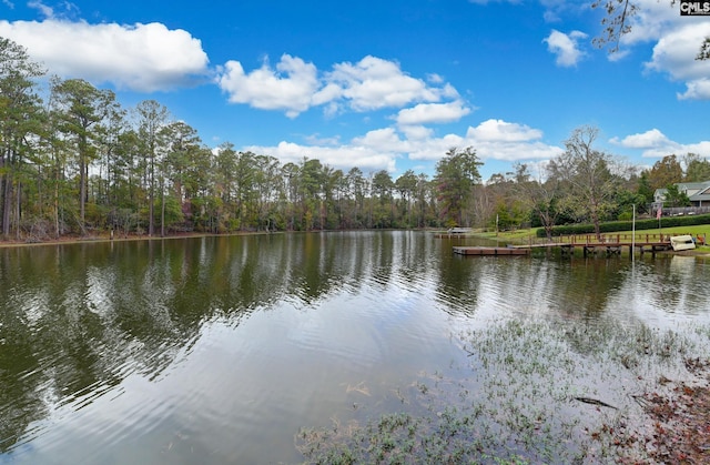 view of water feature featuring a view of trees