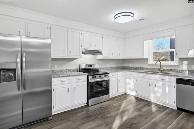 kitchen with light stone countertops, under cabinet range hood, appliances with stainless steel finishes, and a sink