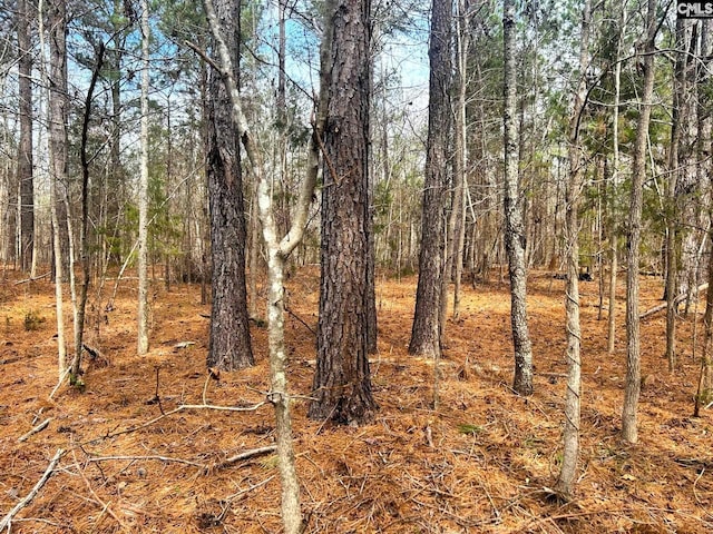 TBD Dreher Island Rd, Prosperity SC, 29127 land for sale