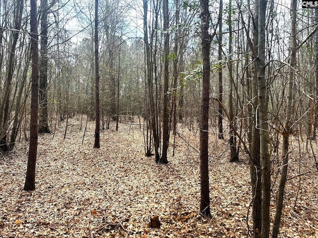 Listing photo 2 for TBD Dreher Island Rd, Prosperity SC 29127