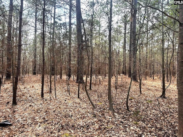 Listing photo 3 for TBD Dreher Island Rd, Prosperity SC 29127