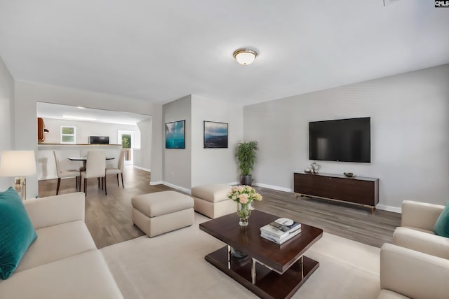 living room featuring baseboards and wood finished floors