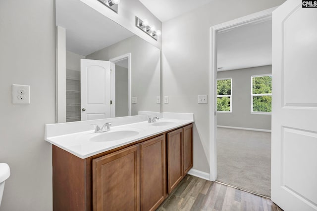 bathroom with double vanity, wood finished floors, a sink, and baseboards