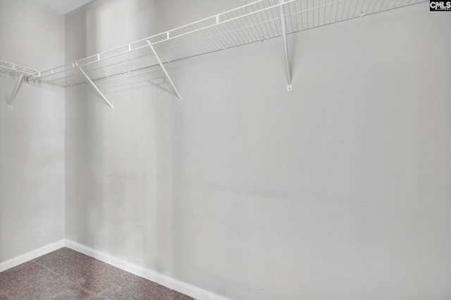 spacious closet with carpet flooring