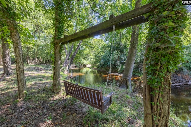 view of community featuring a water view and a view of trees