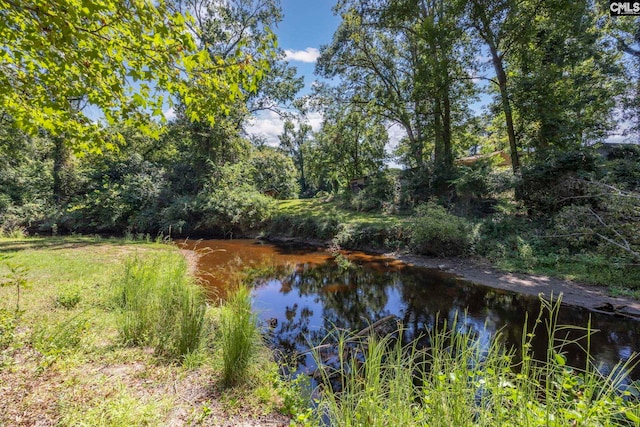 property view of water featuring a view of trees