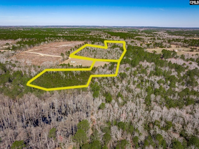 624 Senterfeit Rd Unit A, Batesburg SC, 29006 land for sale