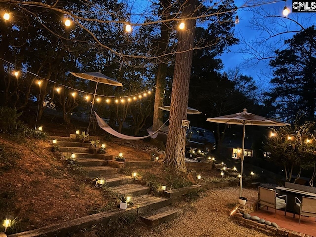 view of yard with a patio