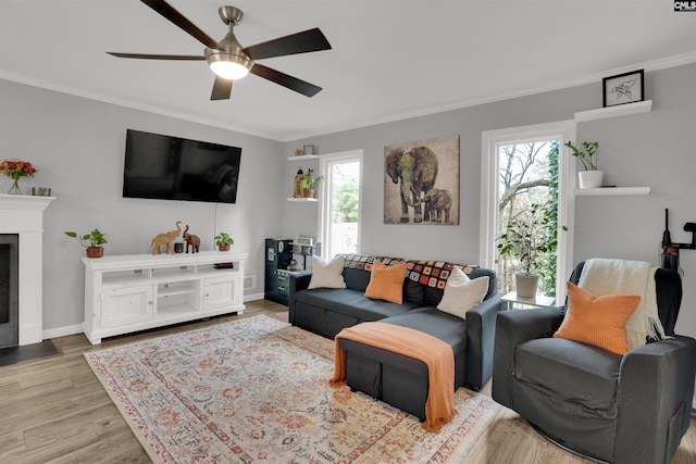 living room featuring a fireplace with flush hearth, a healthy amount of sunlight, ornamental molding, and wood finished floors