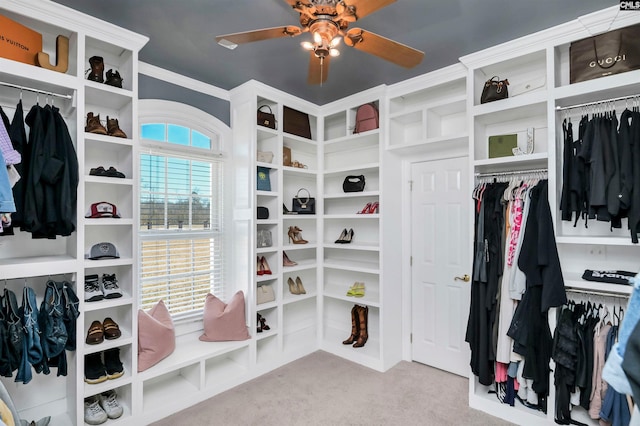 spacious closet featuring carpet floors and ceiling fan