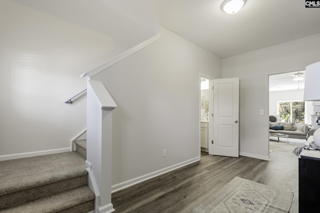 stairway with ceiling fan, baseboards, and wood finished floors