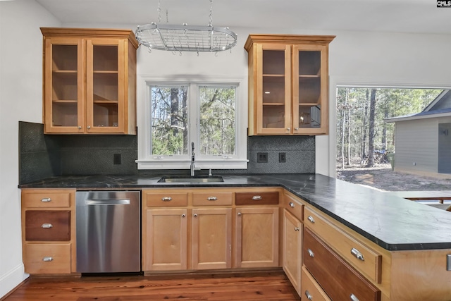 kitchen featuring dark stone countertops, dark wood finished floors, a sink, and dishwasher