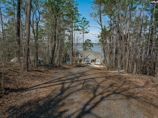 view of road with driveway