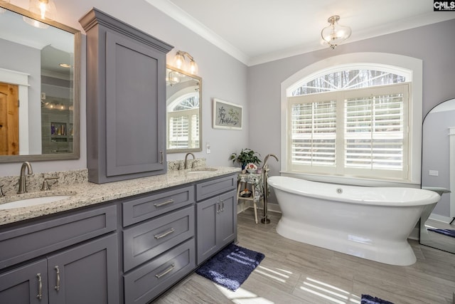 bathroom featuring plenty of natural light, crown molding, and a sink