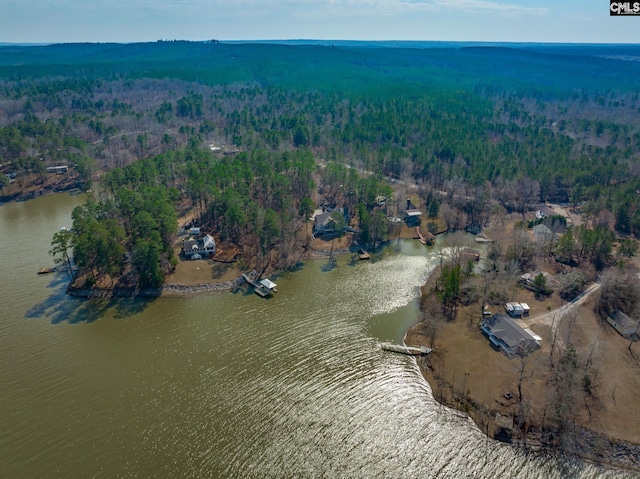 birds eye view of property featuring a water view and a forest view