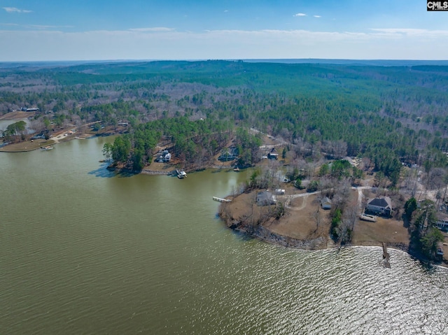 aerial view featuring a water view and a forest view