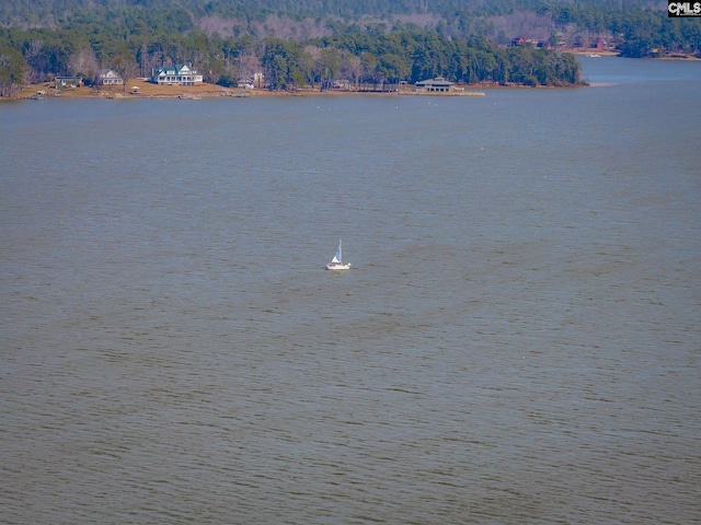 water view with a wooded view