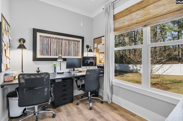 office space featuring crown molding, wood finished floors, and baseboards