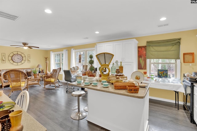 kitchen featuring dark wood-type flooring, visible vents, and white cabinetry