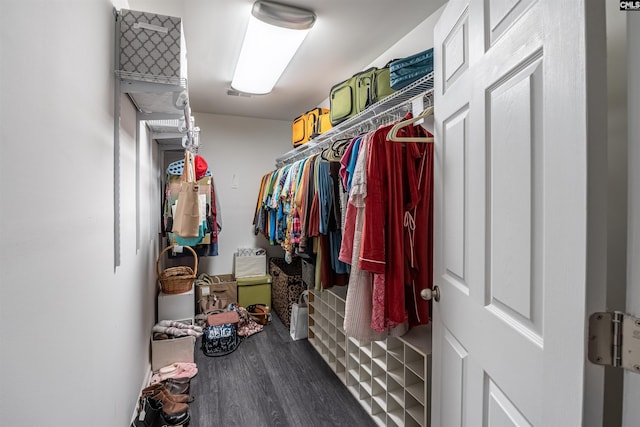 walk in closet with wood finished floors