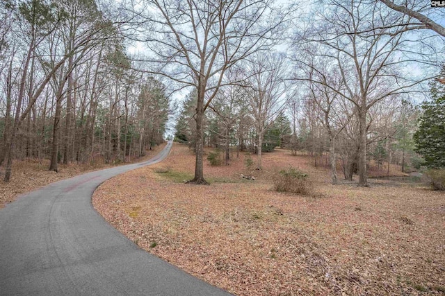 view of road