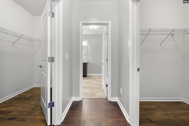 spacious closet featuring dark wood-style flooring