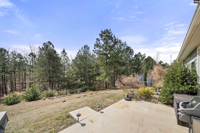 view of yard featuring a patio