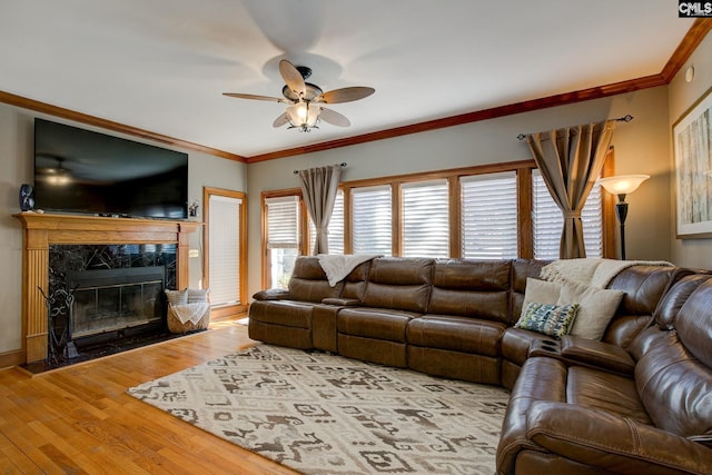 living room featuring ceiling fan, a premium fireplace, ornamental molding, and wood finished floors