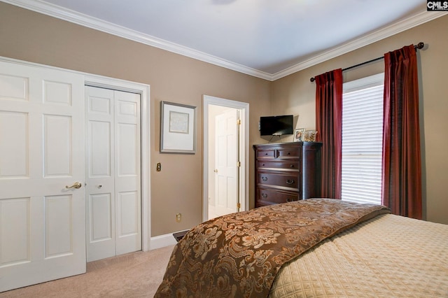 carpeted bedroom with ornamental molding, multiple windows, a closet, and baseboards