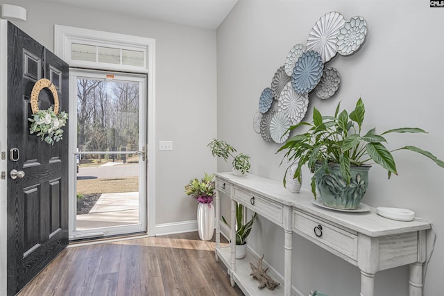 interior space with baseboards, wood finished floors, and a healthy amount of sunlight