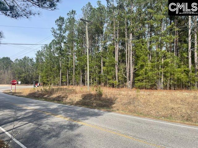 W/S Rabon Rd, Columbia SC, 29223 land for sale