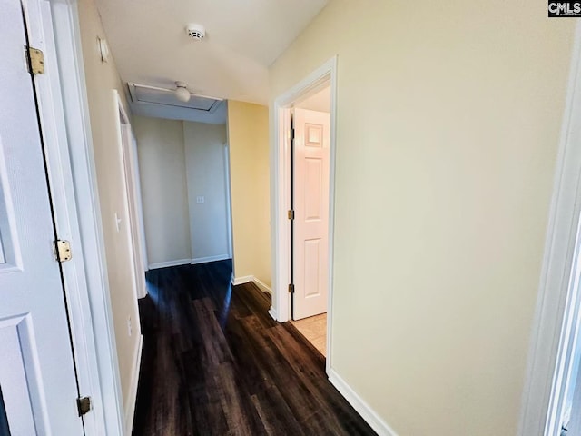 hallway featuring attic access, baseboards, and dark wood-style flooring