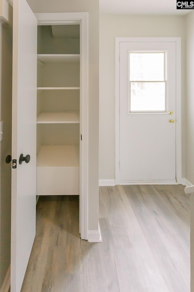 view of closet