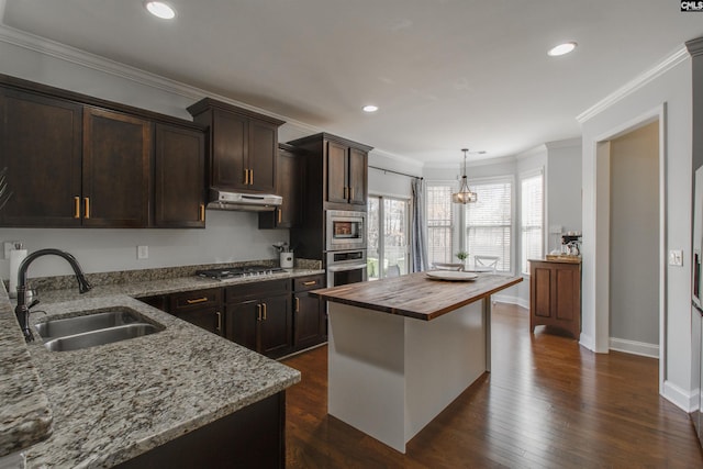 kitchen featuring under cabinet range hood, stainless steel appliances, butcher block counters, a sink, and crown molding