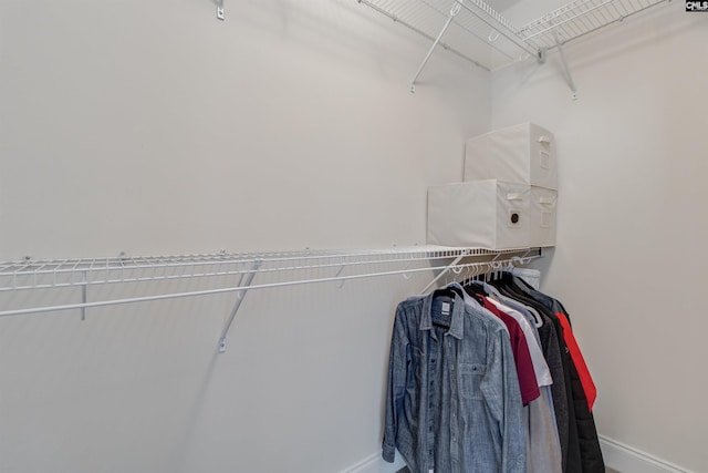 view of spacious closet