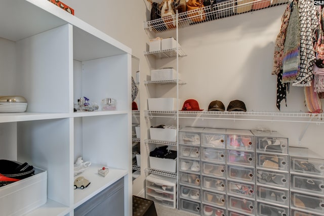 view of spacious closet