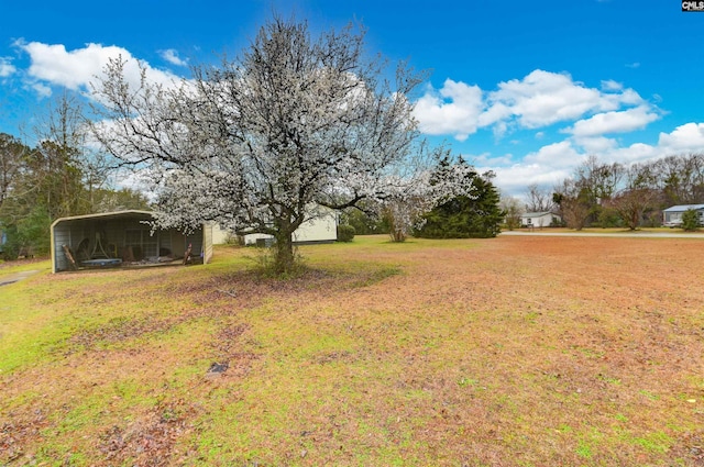 view of yard featuring a carport