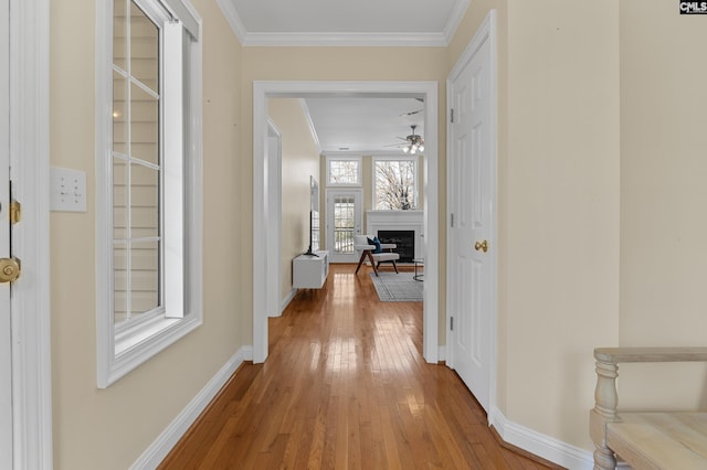 hall with hardwood / wood-style flooring, baseboards, and ornamental molding