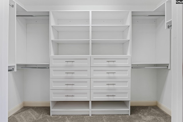 spacious closet with carpet floors