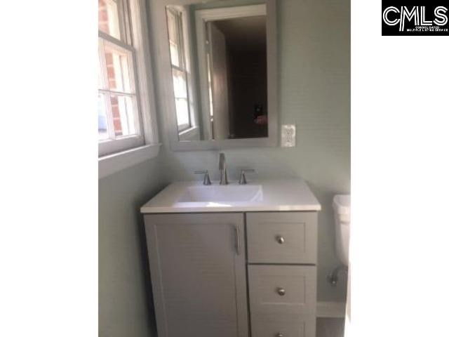 bathroom with toilet and vanity