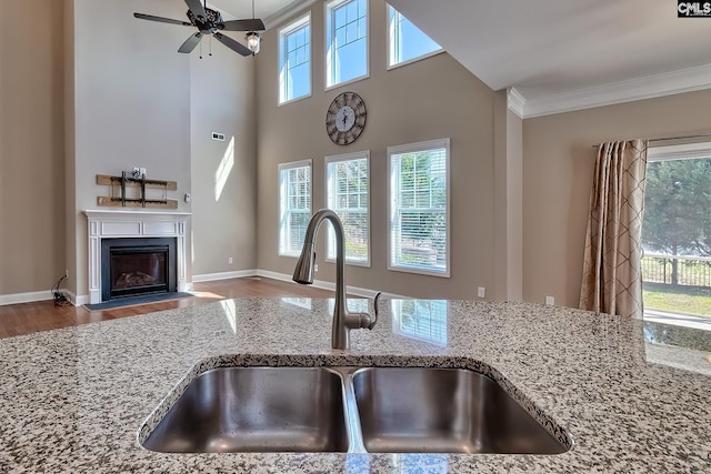 kitchen featuring a sink, light stone counters, crown molding, a healthy amount of sunlight, and ceiling fan