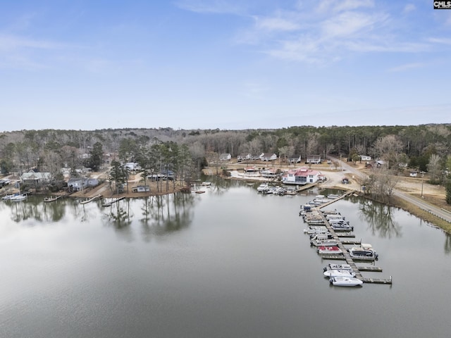 property view of water