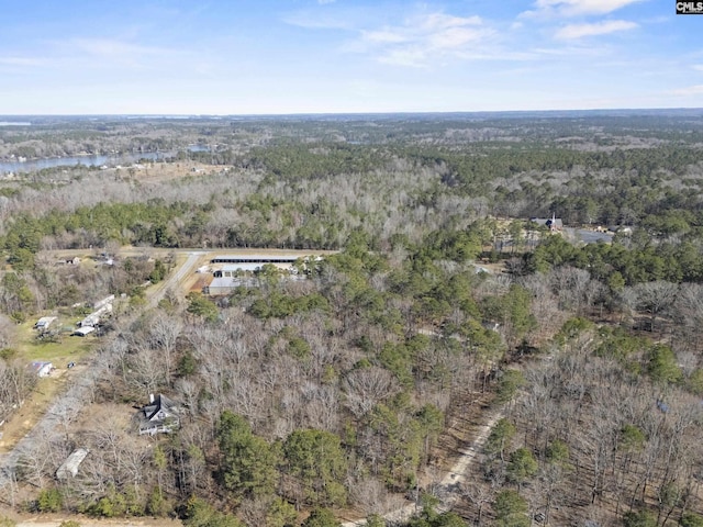 bird's eye view with a water view and a forest view