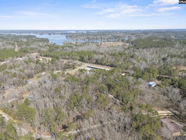 bird's eye view with a water view and a view of trees