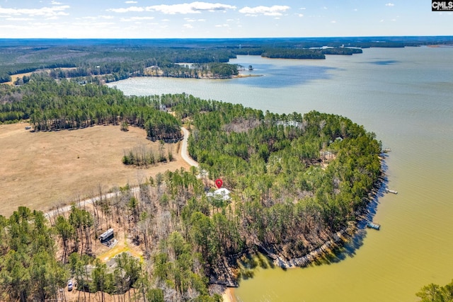 drone / aerial view featuring a water view and a forest view