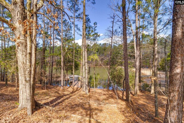 water view featuring a view of trees