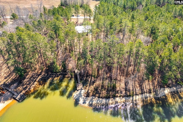 drone / aerial view with a water view and a forest view